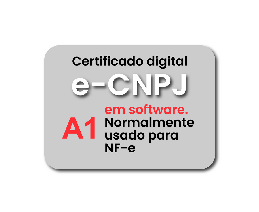 e-CNPJ A1 + e-CPF Nuvem 4 Meses (Combo)
