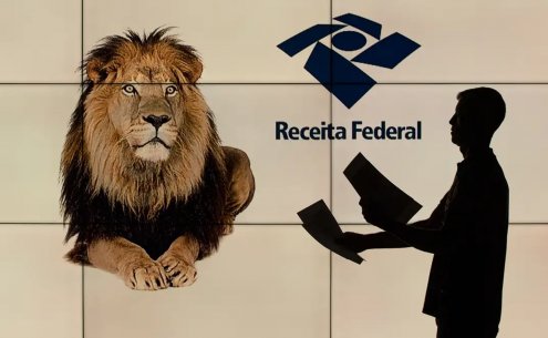 Se prepare para declarar o Imposto de Renda 2025!