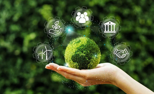 Dia do Meio Ambiente: Certificação digital como aliada da sustentabilidade