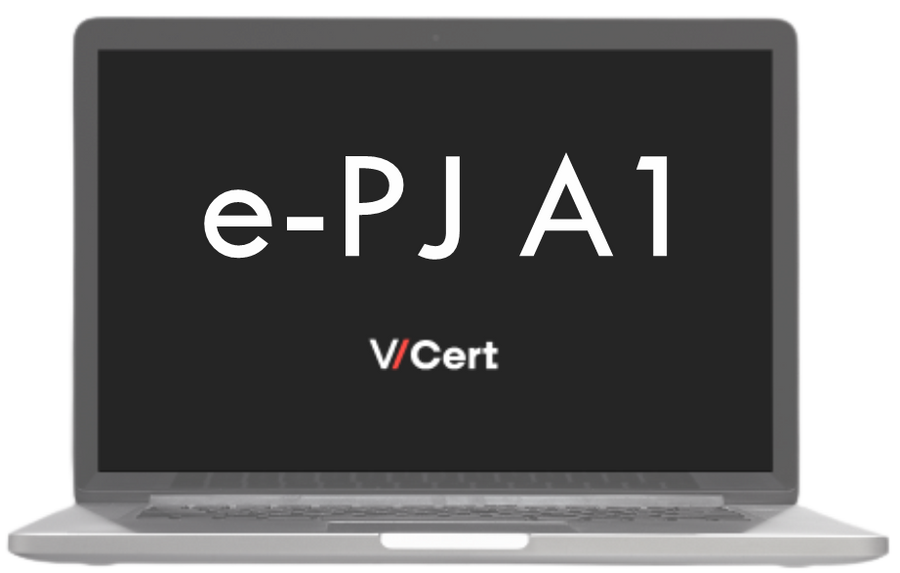e-PJ A1 de 1 ano