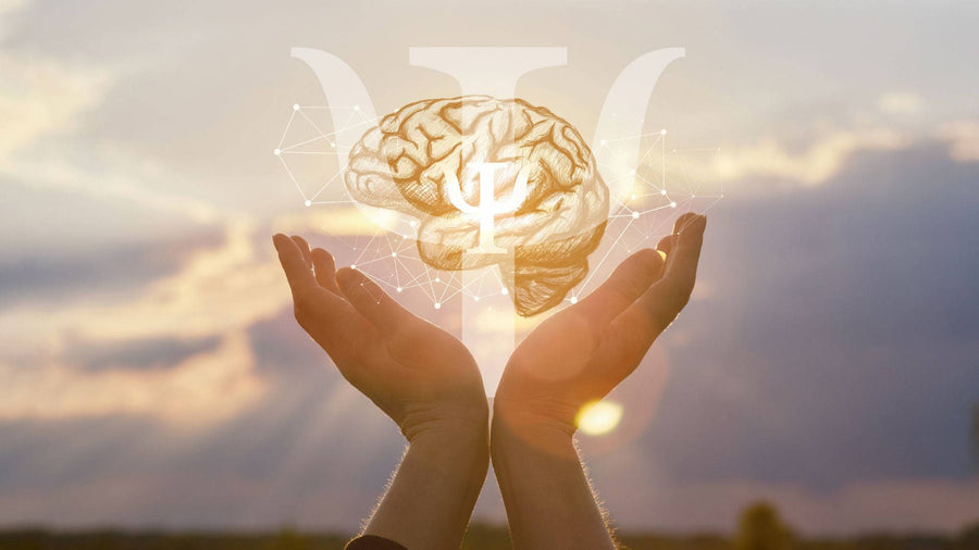 E- Psicologia | e-CPF A3 1 Ano em Nuvem