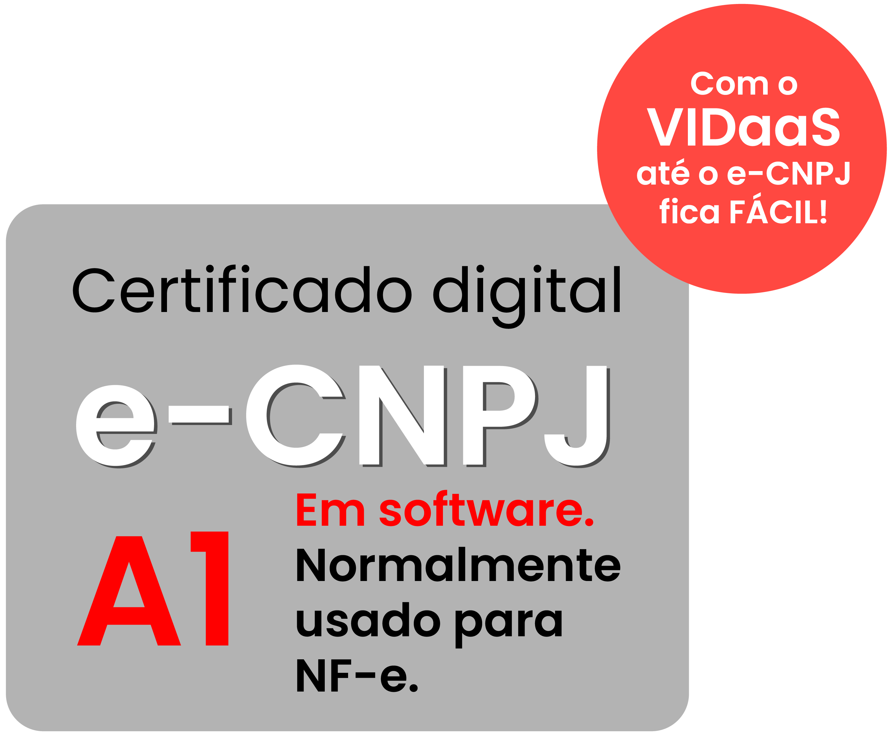 e-CNPJ A1