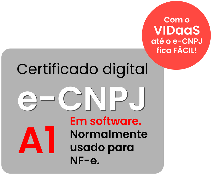 e-CNPJ A1