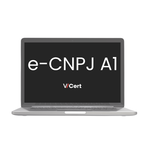 e-CNPJ A1